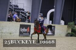 25BUCKEYE_10668 thumbnail