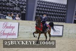 25BUCKEYE_10669 thumbnail