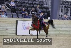 25BUCKEYE_10670 thumbnail
