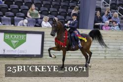 25BUCKEYE_10671 thumbnail