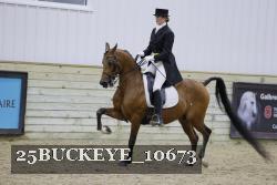 25BUCKEYE_10673 thumbnail