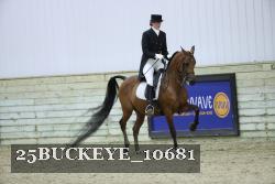 25BUCKEYE_10681 thumbnail