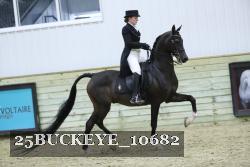 25BUCKEYE_10682 thumbnail