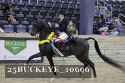 25BUCKEYE_10696 thumbnail