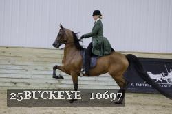 25BUCKEYE_10697 thumbnail