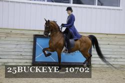 25BUCKEYE_10702 thumbnail
