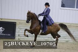 25BUCKEYE_10705 thumbnail