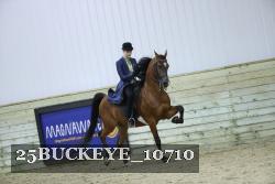 25BUCKEYE_10710 thumbnail