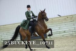 25BUCKEYE_10711 thumbnail
