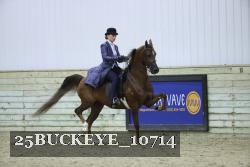 25BUCKEYE_10714 thumbnail
