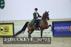 25BUCKEYE_10715 thumbnail