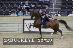 25BUCKEYE_10728 thumbnail