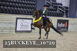 25BUCKEYE_10729 thumbnail