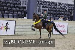 25BUCKEYE_10730 thumbnail