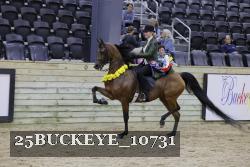 25BUCKEYE_10731 thumbnail