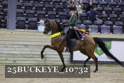 25BUCKEYE_10732 thumbnail