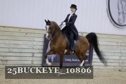 25BUCKEYE_10806 thumbnail