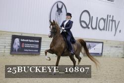 25BUCKEYE_10807 thumbnail
