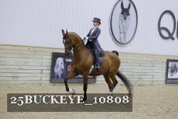 25BUCKEYE_10808 thumbnail