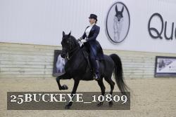 25BUCKEYE_10809 thumbnail