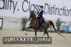 25BUCKEYE_10812 thumbnail