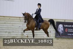 25BUCKEYE_10813 thumbnail