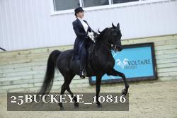 25BUCKEYE_10816 thumbnail