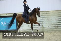 25BUCKEYE_10817 thumbnail