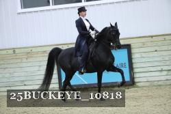 25BUCKEYE_10818 thumbnail