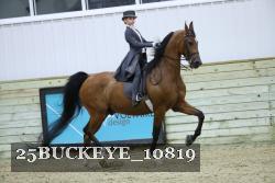 25BUCKEYE_10819 thumbnail