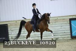 25BUCKEYE_10820 thumbnail