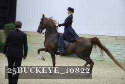 25BUCKEYE_10822 thumbnail