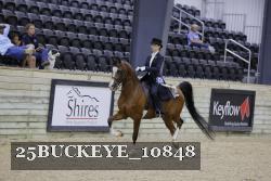 25BUCKEYE_10848 thumbnail