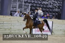 25BUCKEYE_10849 thumbnail