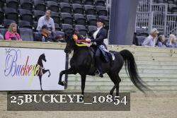 25BUCKEYE_10854 thumbnail
