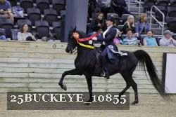 25BUCKEYE_10855 thumbnail