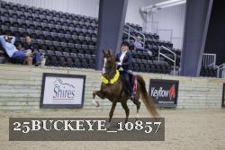 25BUCKEYE_10857 thumbnail