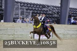 25BUCKEYE_10858 thumbnail