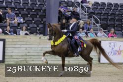 25BUCKEYE_10859 thumbnail