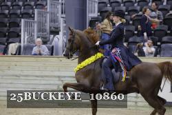 25BUCKEYE_10860 thumbnail