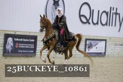 25BUCKEYE_10861 thumbnail