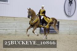 25BUCKEYE_10866 thumbnail