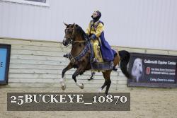 25BUCKEYE_10870 thumbnail