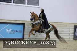 25BUCKEYE_10873 thumbnail