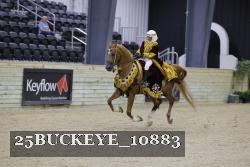 25BUCKEYE_10883 thumbnail