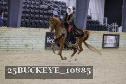 25BUCKEYE_10885 thumbnail