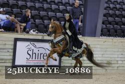 25BUCKEYE_10886 thumbnail