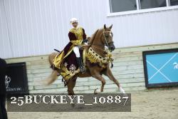 25BUCKEYE_10887 thumbnail