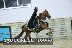 25BUCKEYE_10890 thumbnail