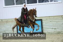 25BUCKEYE_10891 thumbnail